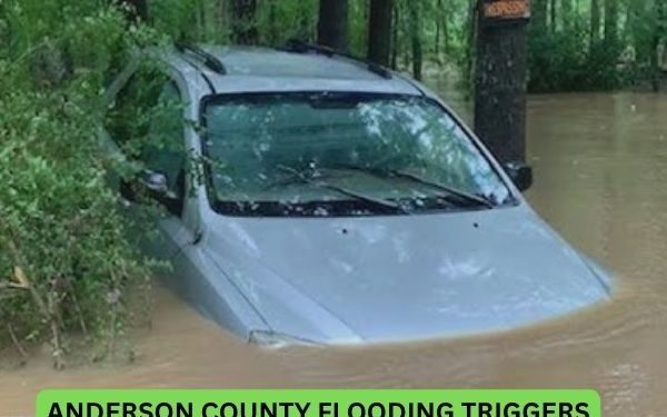Anderson County Flooding Triggers Water Rescue of Mother and Child, Prompts Widespread Road Closures