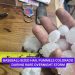Photos: Baseball-Sized Hail Pummels Colorado During Rare Overnight Storm