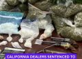 1,400 Pills, 3 Pounds of Meth, 1 Loaded Gun: California Dealers Sentenced to Federal Prison