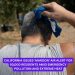 California Issues ‘Maroon’ Air Alert for 50,000 Residents Amid Emergency Pollution and Extreme Heat