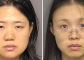 Chinese Scientists Accused of Smuggling Biological Materials to U.S. Will Remain in Jail