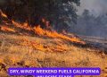 Dry, Windy Weekend Fuels California Wildfire Fears, Triggers Power Shutoffs for Thousands