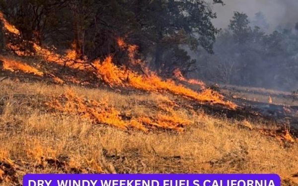 Dry, Windy Weekend Fuels California Wildfire Fears, Triggers Power Shutoffs for Thousands