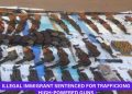 Illegal Immigrant Sentenced for Trafficking High-Powered Guns to Mexican Cartel, Faces Deportation