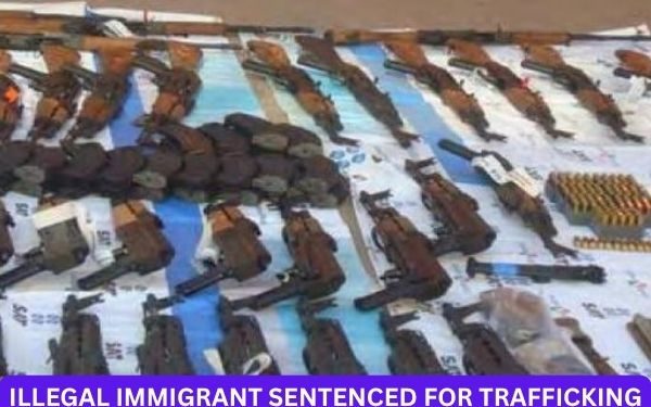 Illegal Immigrant Sentenced for Trafficking High-Powered Guns to Mexican Cartel, Faces Deportation