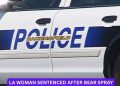 LA woman sentenced after bear spray assault and high-speed chase as protests intensify over ICE raids