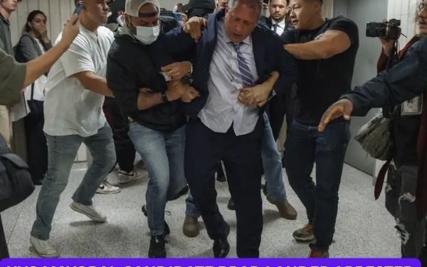 ‘Show Me Your Badge!’ NYC Mayoral Candidate Brad Lander Arrested by ICE During Protest