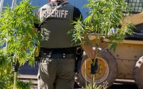 New bill aims to penalize landowners for illegal cannabis grows across Oregon