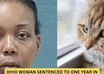 Ohio Woman Sentenced to One Year in Jail for Killing and Eating Cat