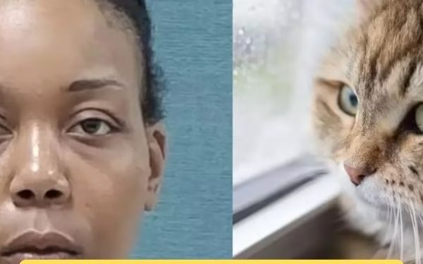 Ohio Woman Sentenced to One Year in Jail for Killing and Eating Cat