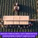 Oregon Farm Bureau Says Immigration Crackdowns Disrupt Agriculture, Spark Labor Crisis Concerns