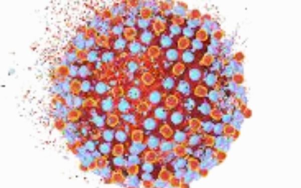 Oregon Ranked Third Worst in Hepatitis C Deaths, CDC Finds
