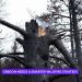 Oregon needs a smarter wildfire strategy
