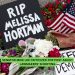 Senator Mike Lee Criticized for Post About Lawmakers’ Shooting