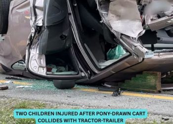 Two children injured after pony-drawn cart collides with tractor-trailer, troopers say