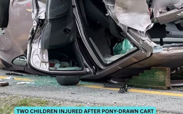 Two children injured after pony-drawn cart collides with tractor-trailer, troopers say