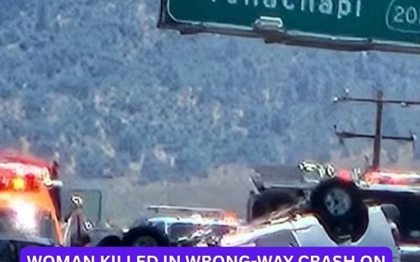 Woman Killed in Wrong-Way Crash on Highway 58 Identified