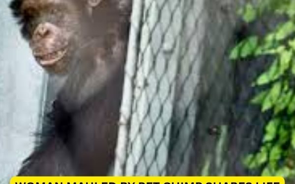 Woman Mauled by Pet Chimp Shares Life Update 16 Years After Attack